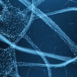 The Power of The Neuroplasticity-Therapy Synergy