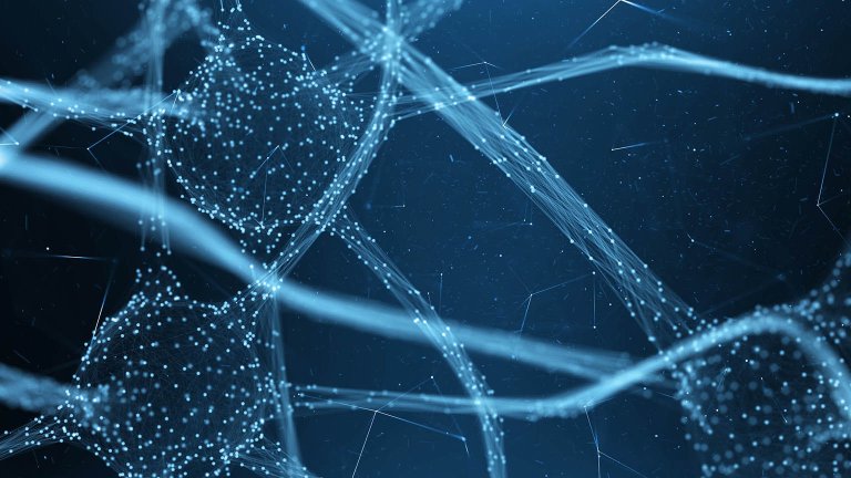The Power of The Neuroplasticity-Therapy Synergy